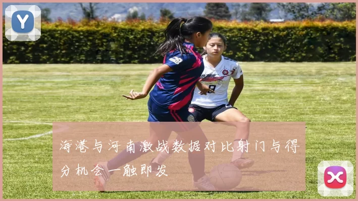 海港与河南激战数据对比射门与得分机会一触即发
